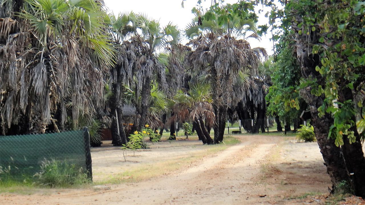 Paridiseos Resort Barra Do Dande Exteriör bild